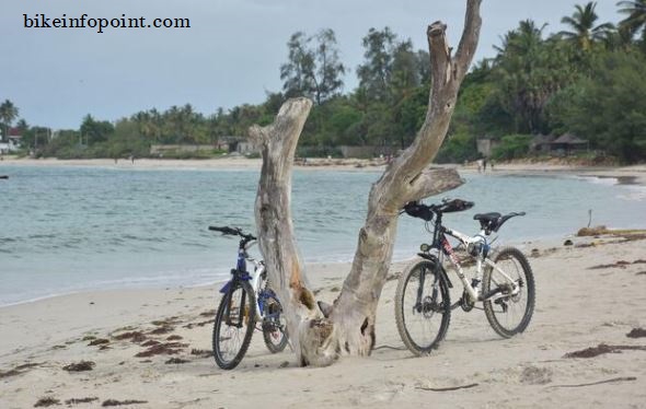 Beach Cruiser Bike