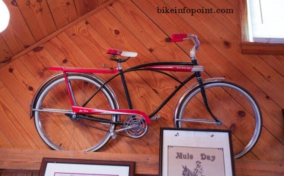 Vintage Murray Bike
